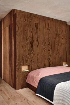 Vibrant Veneer Brown