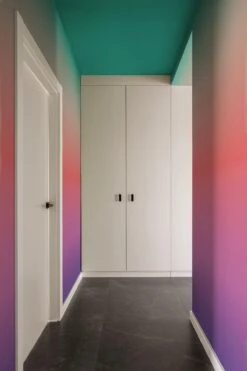 Gradient Color Multi Color -Belartestudio Shop AuraCollection GradientColor BAS02801063 MultiColor 3