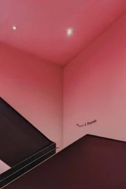 Gradient Color Pink -Belartestudio Shop AuraCollection GradientColor BAS02802035 Pink 3