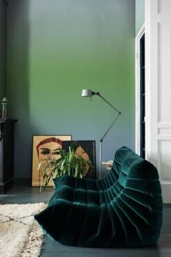 Gradient Color Green -Belartestudio Shop AuraCollection GradientColor BAS02803040 Green 3