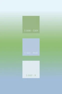 Gradient Color Green -Belartestudio Shop AuraCollection gradient colorncs green