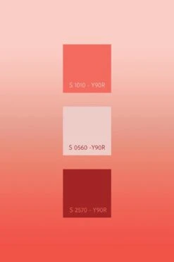 Gradient Color Orange -Belartestudio Shop AuraCollection gradient colorncs orange