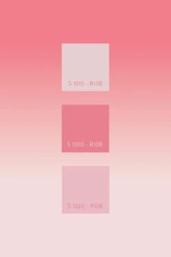 Gradient Color Pink -Belartestudio Shop AuraCollection gradient colorncs pink