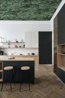 Wild Forest Ivy Green -Belartestudio Shop BiophilicLiving WildForest BAS02104046 IvyGreen 2