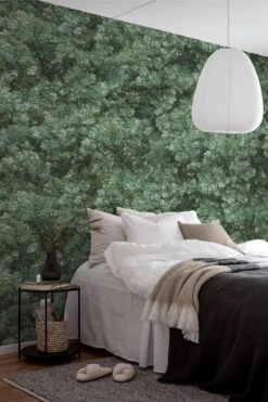 Wild Forest Ivy Green -Belartestudio Shop BiophilicLiving WildForest BAS02104046 IvyGreen 6