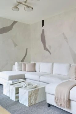 Shifting Shapes Black