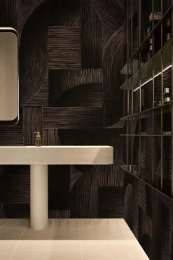 Linear Shadings Black -Belartestudio Shop ConfidentElegance bleartestudioxNinaTakesh LinearShadings BAS04905010 Black 3