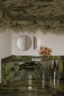 Sky Wild Forest Olive Green