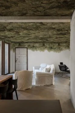 Sky Wild Forest Olive Green -Belartestudio Shop EarthModernism SkyWildForest BAS07004095 OliveGreen 2