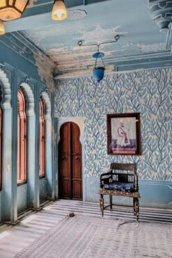 Citrus Tree Dusty Blue