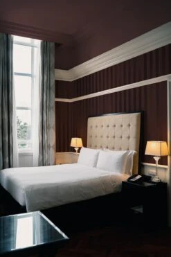 Faded Stripes Burgundy -Belartestudio Shop ModernStripes FadedStripes BAS00108038 Burgundy 5