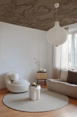 Abstract Sketch Brown -Belartestudio Shop ModernTradition AbstractSketch BAS01506070 Brown 3