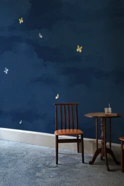 In Our Garden Sky Night